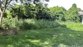 Land for sale in Ban Puek, Chonburi