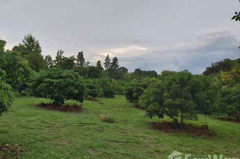 Land for sale in Khilek, Chiang Mai