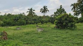 Land for sale in Khilek, Chiang Mai