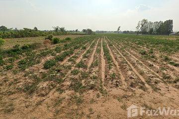 Land for sale in Nong No, Khon Kaen