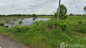 Land for sale in Wang Dan, Prachin Buri