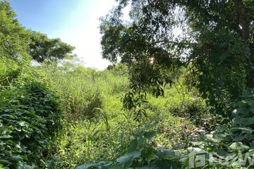 Land for sale in Nong Khon Kwang, Udon Thani