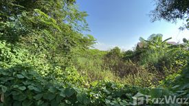 Land for sale in Nong Khon Kwang, Udon Thani