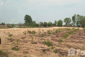 Land for sale in Ban Kluai, Sukhothai