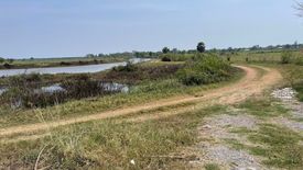 Land for sale in Samphan, Prachin Buri