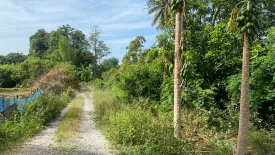 Land for sale in Nakhon Luang, Phra Nakhon Si Ayutthaya