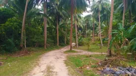 Land for sale in Ban Tai, Surat Thani