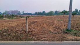 Land for sale in Na Saeng, Lampang