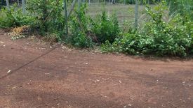 Land for sale in Chiang Khruea, Sakon Nakhon