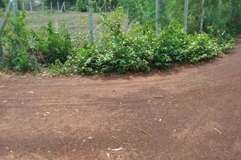 Land for sale in Chiang Khruea, Sakon Nakhon