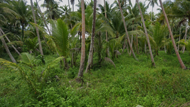 Land for sale in Bang Bai Mai, Surat Thani