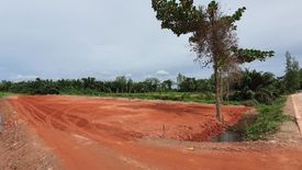 Land for sale in Bang Sai, Surat Thani