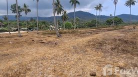 Land for sale in Mae Nam, Surat Thani