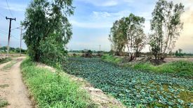 Land for sale in Khao Phoem, Nakhon Nayok