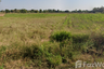 Land for sale in Suranari, Nakhon Ratchasima