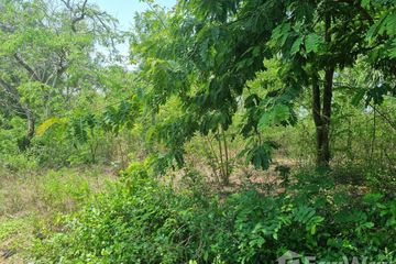 Land for sale in Don Khoi, Nakhon Pathom