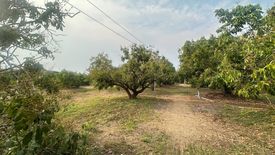 Land for sale in Nong Tong, Chiang Mai