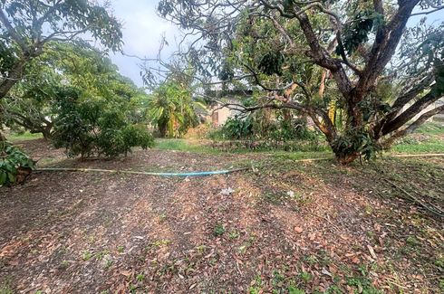 Land for sale in Nong Tong, Chiang Mai