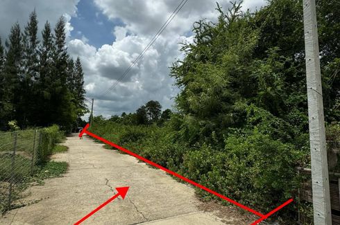 Land for sale in Nong Pak Long, Nakhon Pathom