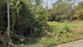 Land for sale in Chomphu, Lampang