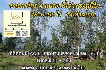 Land for sale in Takhu, Nakhon Ratchasima