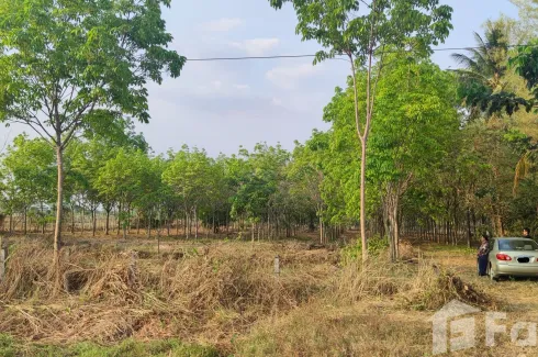 Land for sale in Na Mafueang, Nong Bua Lamphu