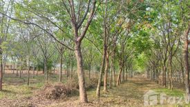 Land for sale in Na Mafueang, Nong Bua Lamphu