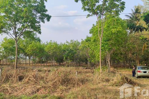 Land for sale in Na Mafueang, Nong Bua Lamphu