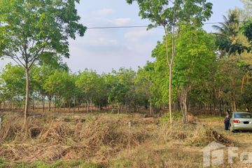 Land for sale in Na Mafueang, Nong Bua Lamphu