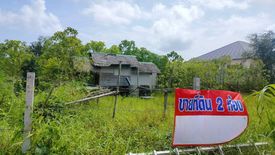 Land for sale in Tha Kham, Songkhla