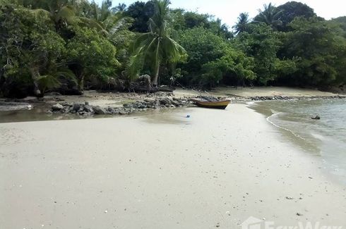 Land for sale in Ko Yao Yai, Phang Nga