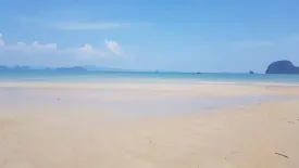 Land for sale in Ko Yao Yai, Phang Nga