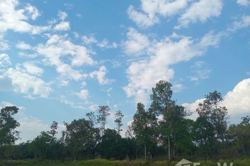 Land for sale in Nong Bua Hi, Ubon Ratchathani