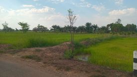 Land for sale in Nong Bua Hi, Ubon Ratchathani