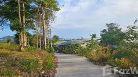 Land for sale in Ko Pha-ngan, Surat Thani