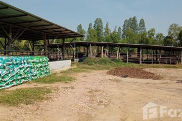 Land for sale in Don Chedi, Suphan Buri