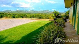 Land for sale in Na Din Dam, Loei