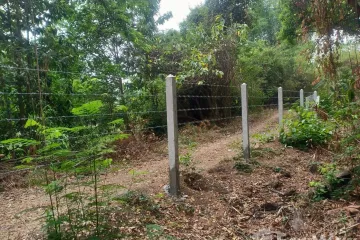 Land for sale in Chong Sam Mo, Chaiyaphum