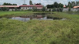 Land for sale in Nuea Mueang, Roi Et