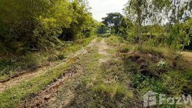 Land for sale in Ko Phlapphla, Ratchaburi