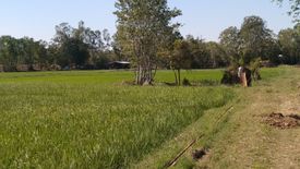 Land for sale in Khwao Yai, Maha Sarakham