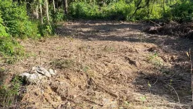 Land for sale in Ko Phayam, Ranong