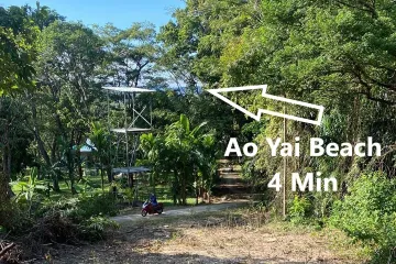 Land for sale in Ko Phayam, Ranong