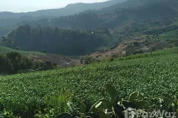 Land for sale in Mae Na Toeng, Mae Hong Son