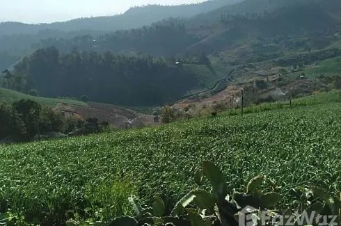 Land for sale in Mae Na Toeng, Mae Hong Son