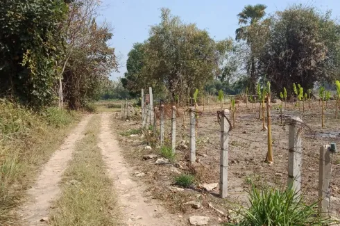 Land for sale in Ban Du, Chiang Rai