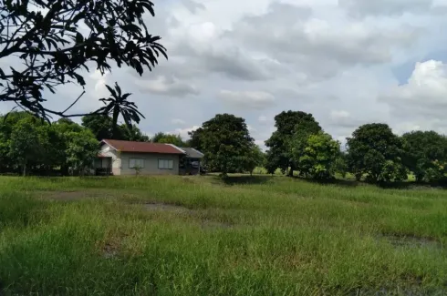 Land for sale in Dong Lakhon, Nakhon Nayok