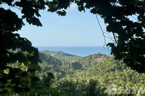 Land for sale in Ko Pha-ngan, Surat Thani