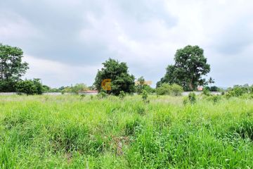 Land for sale in Pong, Chonburi