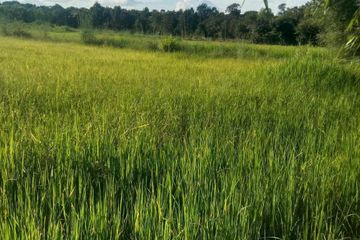 Land for sale in I Ngong, Roi Et